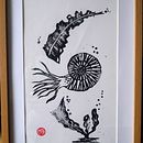 Linogravure Ammonite . % Mathilde Allard tarafından hazırlanan Geleneksel illüstras, Ve on projesi - 03.09.2022