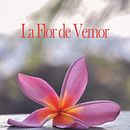 La Flor de Vemor. Un projet de Écriture, Stor, telling, Narration, Écriture de fiction , et Écriture créative de Veronica Montesdeoca - 10.03.2022
