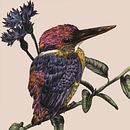 Mon projet du cours : Illustration naturaliste au stylo. Un proyecto de Ilustración tradicional, Dibujo, Dibujo realista e Ilustración naturalista				 de mellarini_alexandra - 10.03.2022