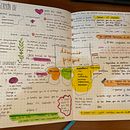 Mi Proyecto del curso: Introducción al bullet journal ilustrado Ein Projekt aus dem Bereich Traditionelle Illustration, H, werk, Lettering, Zeichnung, Botanische Illustration, DIY, H und Lettering von cdd2hct45n - 10.03.2022