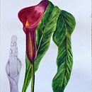 Mi Proyecto del curso: Ilustración botánica con acuarela. Traditional illustration, Fine Arts, Painting, Drawing, Watercolor Painting, and Botanical Illustration project by thomase - 03.11.2022