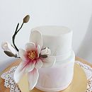 Mój projekt z kursu: Projektowanie tortów z jadalnymi kwiatami: sztuka cukiernictwa. Design, and DIY project by Dagmara Naglak - 03.10.2022