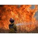 INCENDIOS EN CORRIENTES :¿QUÉ ES LA LEY DE HUMEDALES Y POR QUÉ ES TAN IMPORTANTE SU DEBATE? . % Lorena Artelino tarafından hazırlanan Yazma projesi - 02.23.2022