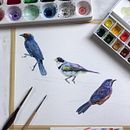 Meu projeto do curso: Técnicas expressivas de aquarela para ilustração de pássaros. Un projet de Illustration traditionnelle, Aquarelle, Dessin réaliste et Illustration naturaliste de CAMILA OLIVEIRA - 12.03.2022