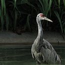 Mi Proyecto del curso: Introducción a la fotografía digital. Un proyecto de Fotografía y Fotografía digital de elcurly97 - 12.03.2022