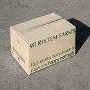 Meristem Farms. Br, ing, Identit, Br, Strateg, and Design project by Adam Katz - 03.15.2022