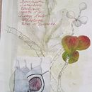 Mein Kursprojekt: Experimentelle Illustration mit Tusche und Acryl. Un progetto di Illustrazione tradizionale e Belle arti di Ingrid Habel - 15.03.2022