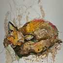 Sleeping fox . Ilustrasi tradisional proyek oleh Diane Wright - 03.16.2022