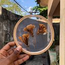 Meu projeto do curso: Bordado em tule com plantas e flores naturais. Un progetto di Ricamo, DIY, Design floreale e vegetale e Textile Design di Raquel Cristina Francisco - 16.03.2022
