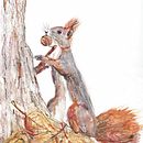 My project for course: Illustrating Nature: A Creative Exploration. Ilustração tradicional, Pintura, Desenho, Pintura em aquarela, Ilustração com tinta e Ilustração naturalista projeto de ewe - 18.03.2022