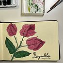 Mi Proyecto del curso: Cuaderno botánico en acuarela. Ilustração tradicional, Pintura em aquarela, Ilustração botânica, e Sketchbook projeto de Camila Schuckmann - 18.03.2022