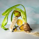 My project for course: Conceptual Product Photography for Advertising. Un projet de Publicité, Photographie, Photographie de produits, Éclairage photographique, Photographie numérique , et Photographie publicitaire de anastasia_deriabina - 17.03.2022