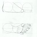 My project for course: Figure Drawing for Beginners. Projekt z dziedziny  Sztuki piękne, Sketching, R, sunek ołówkiem,  R, sunek, R, sunek realist, czn, R i sunek anatomiczn użytkownika samirsno - 19.03.2022