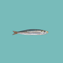 Fish. Un projet de Illustration traditionnelle de senailgaz - 20.03.2022