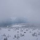 Winter . Fotografie de Małgorzata W - 03.21.2022