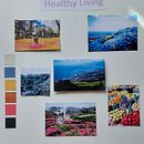 Meu projeto do curso: Criação de mood board: comunique conceitos de forma eficaz. Een project van Interieurontwerp,  Interieurdecoratie,  Interieur, Retailontwerp,  Ontwerp,  Br, ing en identiteit, Grafisch ontwerp e Interactief ontwerp van anaferreira1966 - 22.03.2022