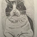 Cocco potrait. Projekt z dziedziny Trad, c i jna ilustracja użytkownika Antonio Console - 22.03.2022