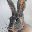 Mi Proyecto del curso: Técnicas experimentales de acuarela. Een project van Traditionele illustratie,  Beeldende kunst, Aquarelschilderen y Naturalistische illustratie van Mónica Barrón - 23.03.2022