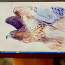 Mi Proyecto del curso: Retratos expresivos de animales en acuarela Ein Projekt aus dem Bereich Traditionelle Illustration, Aquarellmalerei, Realistische Zeichnung und Naturalistische Illustration von Lola - 24.03.2022
