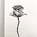 Meu projeto do curso: Sketching diário para inspiração criativa. Un projet de Illustration traditionnelle, Esquisse , Créativité, Dessin , et Carnet de croquis de Mariane Melo - 24.03.2022