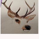 My project for course: Expressive Animal Portraits in Watercolor. Un proyecto de Ilustración tradicional, Pintura a la acuarela, Dibujo realista e Ilustración naturalista				 de Maike Anna Mueller - 25.03.2022