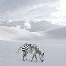 Mon projet du cours : Photomontage et illustrations fantastiques sur Photoshop. Projekt z dziedziny Fotografia,  Kolaż, Retuszowanie fotografii, Ilustracja c, frowa,  Kompoz, cja w fotografii i Fotomontaż użytkownika Roxane Randel - 25.03.2022