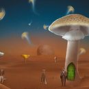 The Mushroom Planet. Un proyecto de Composición fotográfica, Collage, Retoque fotográfico, Fotografía, Fotomontaje e Ilustración digital de Alessia Greco - 15.01.2022