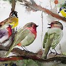 Mein Kursprojekt: Illustriere Vögel mit expressiven Aquarelltechniken. Projekt z dziedziny Trad, c, jna ilustracja, Malowanie akwarelą, R, sunek realist, czn, Ilustracja naturalist i czna użytkownika Vanessa - 27.03.2022