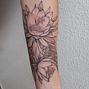 Meu projeto: Tatuagem botânica de Dama da Noite. Un proyecto de Ilustración tradicional, Diseño de tatuajes e Ilustración botánica de Marina Carvalho Pelorca - 28.03.2022