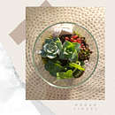 Mi Proyecto del curso: Arte vegetal: crea tu propio terrario abierto. Un progetto di Interior design, Paesaggismo, Interior Design, DIY e Design floreale e vegetale di ceciansan - 28.03.2022