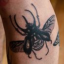 Insectos en puntillismo. Tattoo Design, and Traditional illustration project by Bruno Torres - 03.29.2022