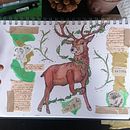 My project for course: Animal Illustration: Capturing Wildlife in a Sketchbook . Ilustrasi tradisional, Kolase, Buku sketsa & Ilustrasi Naturalistik proyek oleh Tash - 03.30.2022