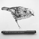 Pen and Ink Drawings . % Arno Jackson tarafından hazırlanan Geleneksel illüstras, Ve on projesi - 04.01.2022