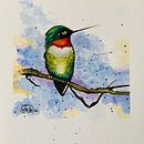 Birds:  A ruby throated hummingbird.. Un proyecto de Ilustración tradicional, Bocetado y Pintura a la acuarela de vacker8 - 31.03.2022