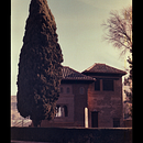 Alhambra. Een project van  Analoge fotografie van Flora Millán - 03.04.2022