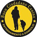 Posicionamiento personal de mi sitio web www.buenciudadanocanino.cl en Google Ein Projekt aus dem Bereich Marketing, Social Media, Digitales Marketing, Mobile Marketing, Content-Marketing, Growth Marketing, SEO und SEM von Karen Lorca Abba - 17.04.2022