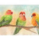 Loros valencianos. Un proyecto de Ilustración tradicional, Pintura a la acuarela, Dibujo realista e Ilustración naturalista				 de Isabella Torrealba - 04.04.2022