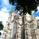 Jorvic. Escrita projeto de Lilith Bijnens - 05.04.2022