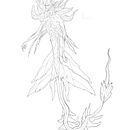 Mi Proyecto del curso: Sketchbook fantástico: dibuja personajes desde la imaginación. Ilustração tradicional, Criatividade, Desenho, e Sketchbook projeto de Daniel Santibañez Alfaro - 05.04.2022