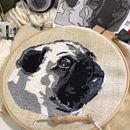 My project for course: Punch Needle Embroidery: From Pictures to Portraits. Un projet de Broderie, Punch needle , et Design textile de Felicity - 07.04.2022