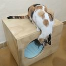 Mi Proyecto del curso: Diseño y construcción de muebles para principiantes. Artesanato, Design e fabricação de móveis, Design de interiores, DIY, e Marcenaria projeto de Pau Capurro - 08.04.2022