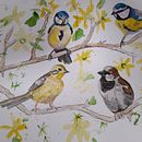 My project for course: Artistic Watercolor Techniques for Illustrating Birds. Un proyecto de Ilustración tradicional, Pintura a la acuarela, Dibujo realista e Ilustración naturalista				 de Sally Haylock - 05.04.2022
