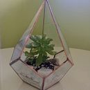Mi Proyecto del curso: Creación de terrarios con la técnica Tiffany Ein Projekt aus dem Bereich Erweiterungsentwicklung, Innendesign, Dekoration von Innenräumen, DIY und Blumen- und Pflanzendesign von Laura Carolina Ortiz - 08.04.2022