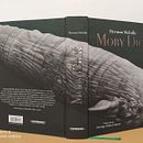 Moby Dick. Ilustração tradicional projeto de Andrés Rodríguez - 10.04.2022