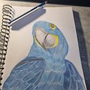 Entspannen. Un progetto di Illustrazione tradizionale di sabrina_dragons - 10.04.2022