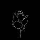 lotus. Traditional illustration, and Animation project by Rana El Mahallawy - 09.01.2019