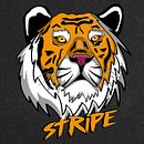Stripe. Un proyecto de Diseño de raúl arrabal rodríguez - 10.04.2022