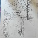 My project for course: Dip Pen and Ink Illustration: Capturing The Natural World. Un proyecto de Bocetado, Dibujo, Dibujo artístico, Sketchbook, Ilustración con tinta e Ilustración naturalista				 de i_bartolucci - 10.04.2022