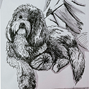My project for course: Illustrated Diary: Fill Your Sketchbook with Experiences. Projekt z dziedziny Trad, c, jna ilustracja, Sketching,  R, sunek, Sketchbook,  R i sunek atramentem użytkownika Rebeca Navarro - 11.04.2022