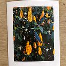 Minhas intervenções com bordado em fotografias. Een project van Fotografie, Papercraft, Borduurwerk, DIY y Textielontwerp van Mariana Gandarela - 11.04.2022